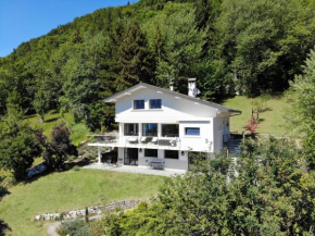Vue exceptionnelle sur lac d'Annecy et Montagnes Menthon-Saint-Bernard